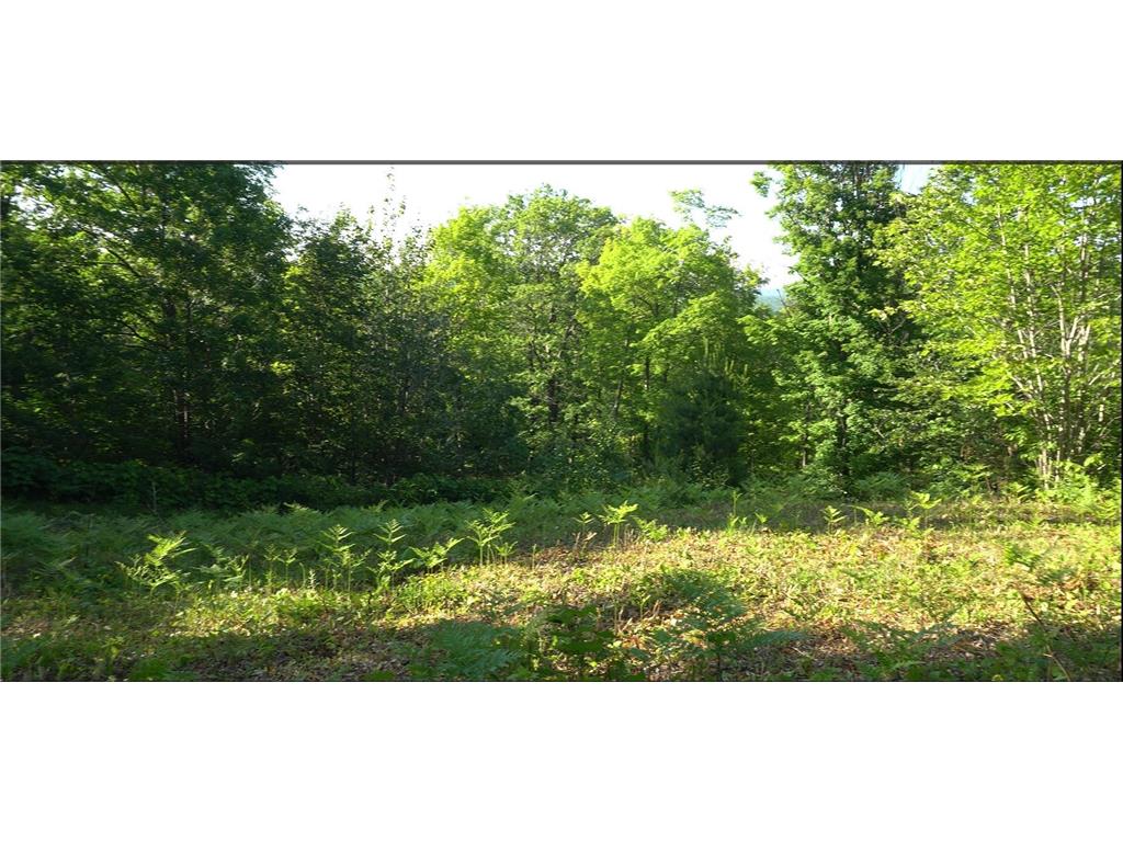83xxx - Lot 13 Ashwabay Road Bayfield WI 54814 7070178 image3