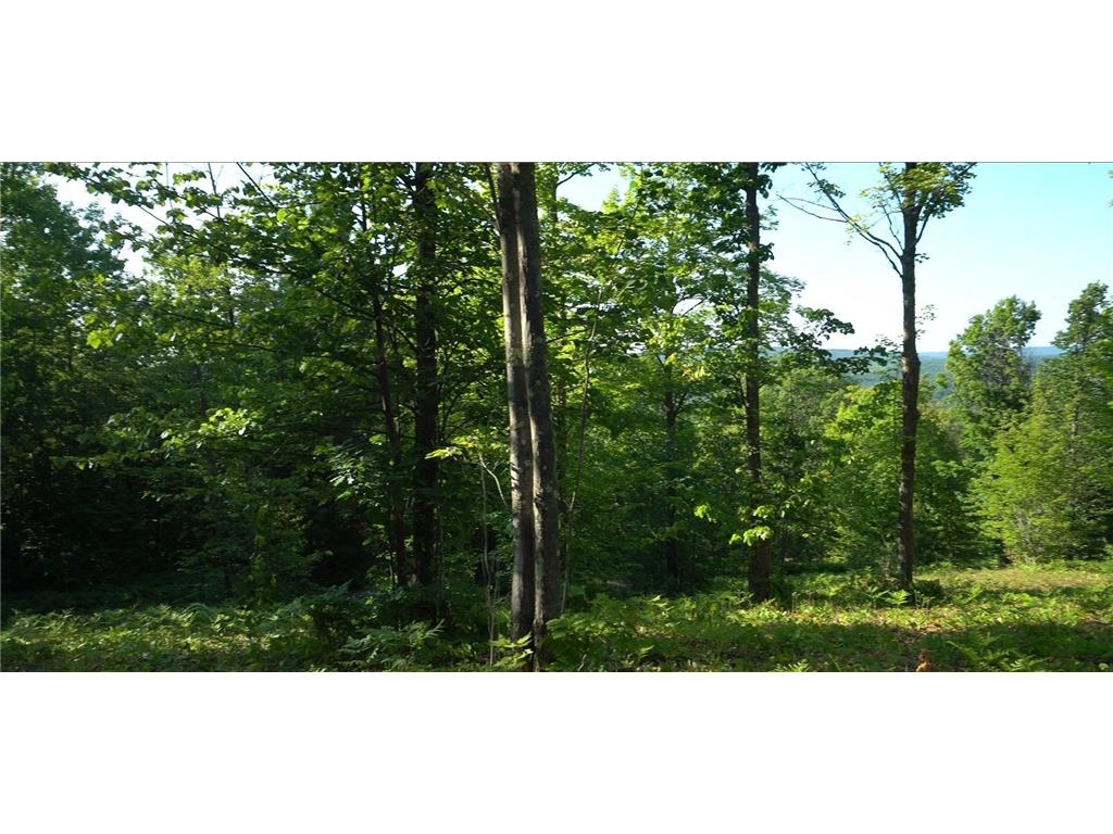83xxx - Lot 13 Ashwabay Road Bayfield WI 54814 7070178 image6