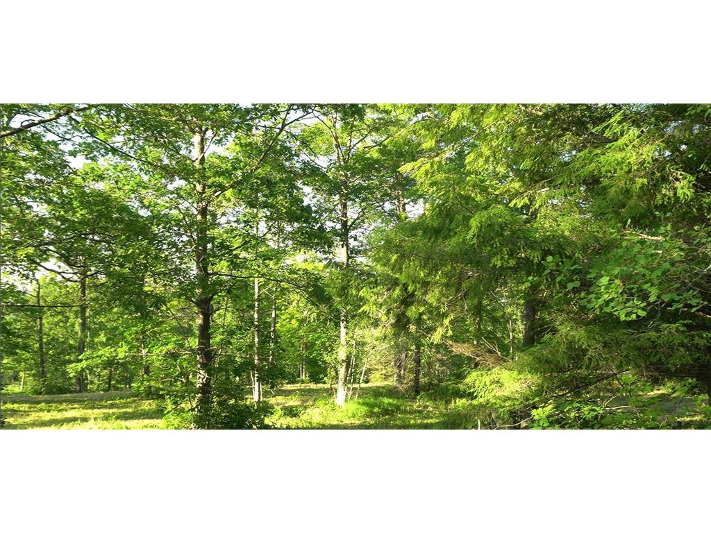 83xxx - Lot 6 Ashwabay Heights Road Bayfield WI 54814 6758126 image1
