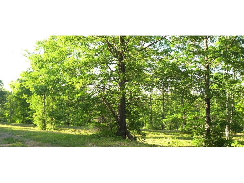 83xxx - Lot 6 Ashwabay Heights Road Bayfield WI 54814 6758126 image3