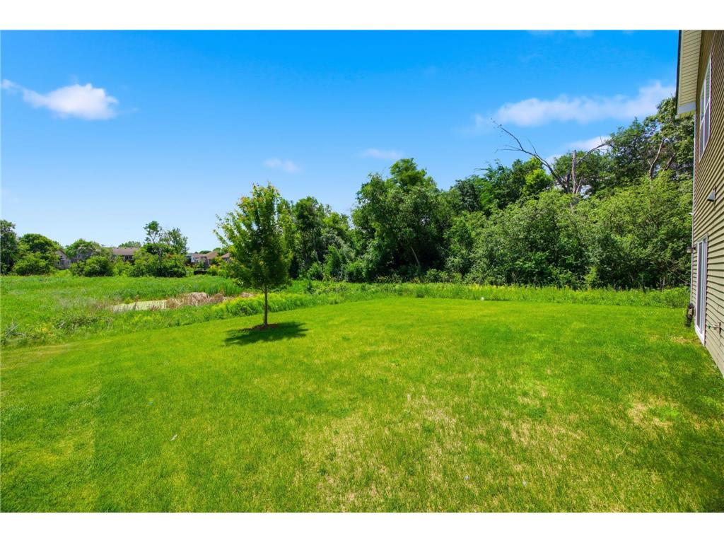 840 111th Lane NE Blaine MN 55434 7090646 image44