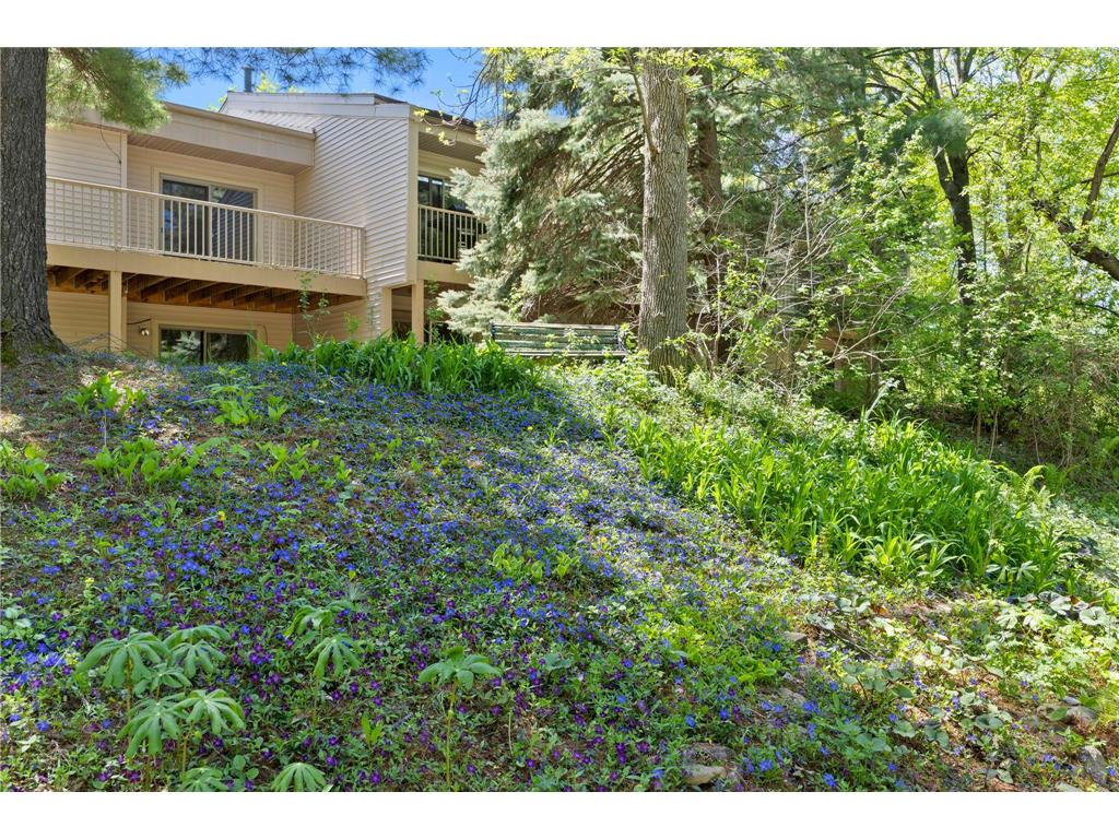 8405 137th Court Apple Valley MN 55124 7077815 image36