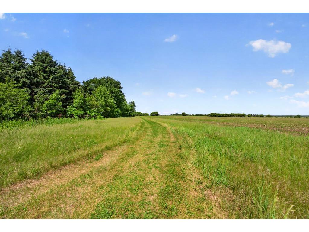 8405 50th Street SE Eyota MN 55934 7077856 image15