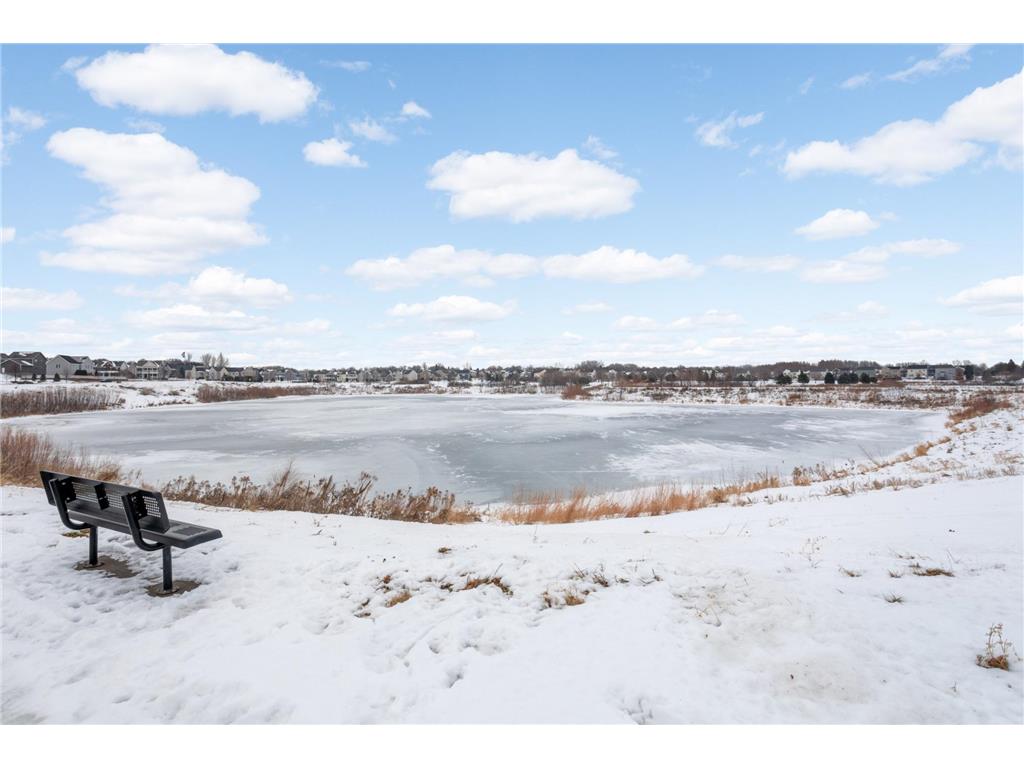 8405 Norwood Lane N Maple Grove MN 55369 6819557 image23