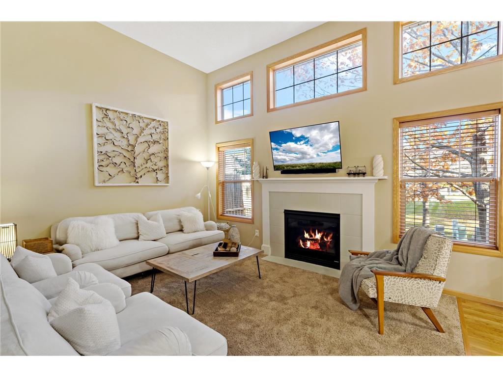 8409 Cedarview Circle Savage MN 55378 6453506 image1