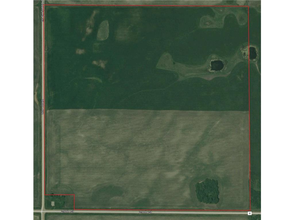 840th Avenue 290th Street Beardsley MN 56211 6609649 image1