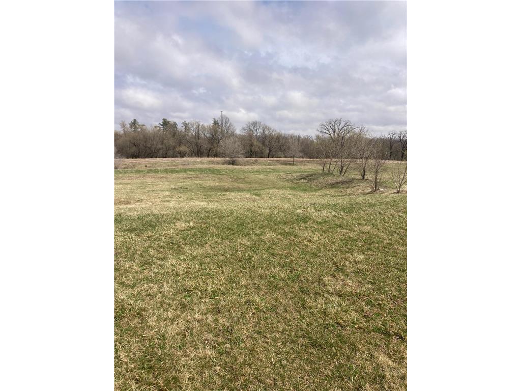 841 3rd Street, Wanamingo, MN, 55983 MLS 7618645 Edina Realty