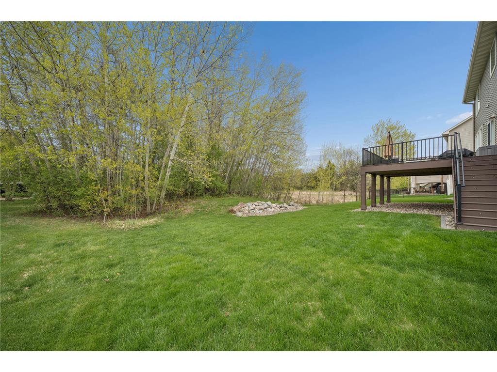 8410 151st Street Savage MN 55378 7044697 image54