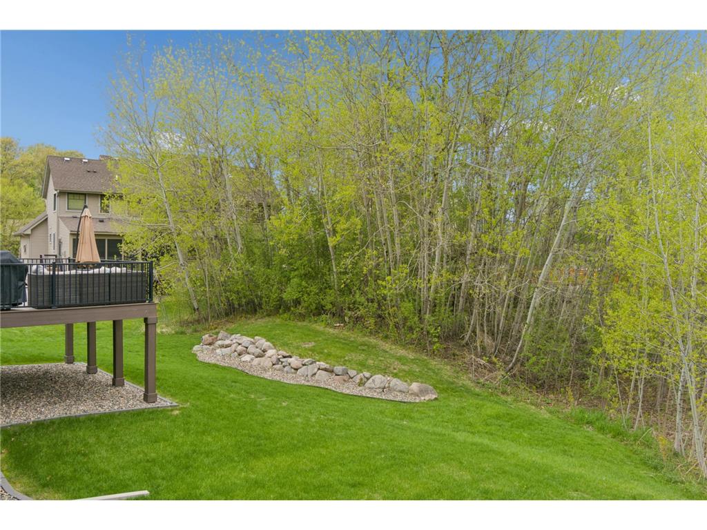 8410 151st Street Savage MN 55378 7044697 image58