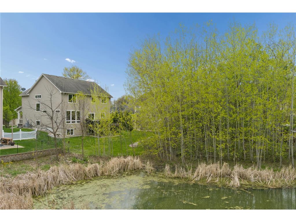 8410 151st Street Savage MN 55378 7044697 image61