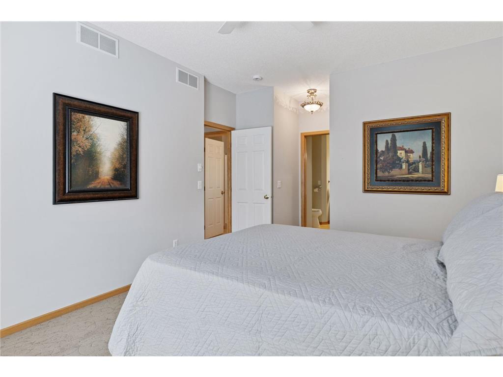 8410 Burlwood Drive Chanhassen MN 55317 7003194 image26