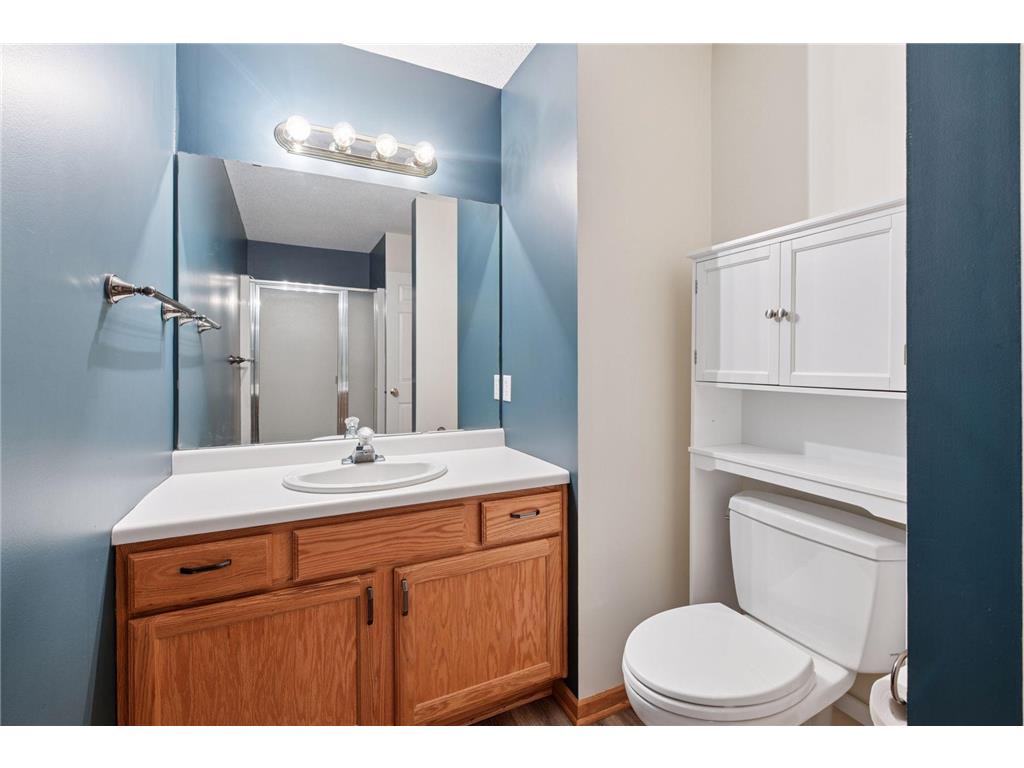 8410 Burlwood Drive Chanhassen MN 55317 7003194 image41