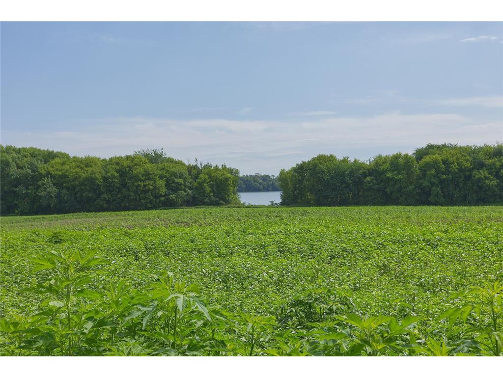 8412 Ingram Avenue SW Howard Lake MN 55349 - Ann 7108690 image62