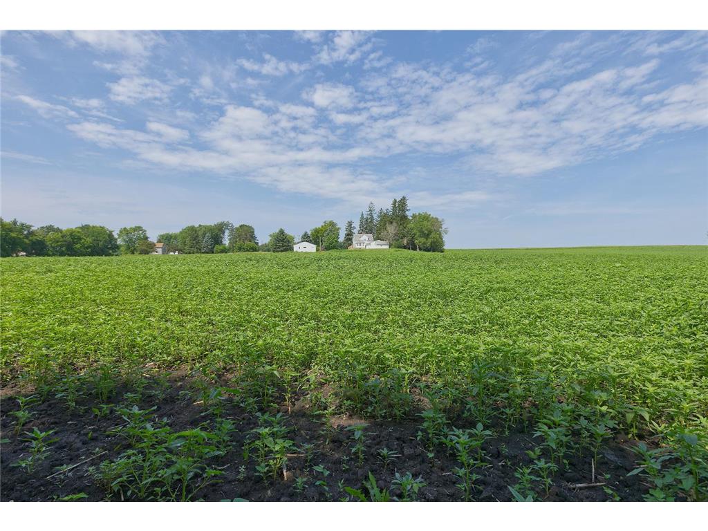 8412 Ingram Avenue SW Howard Lake MN 55349 - Ann 7108690 image65