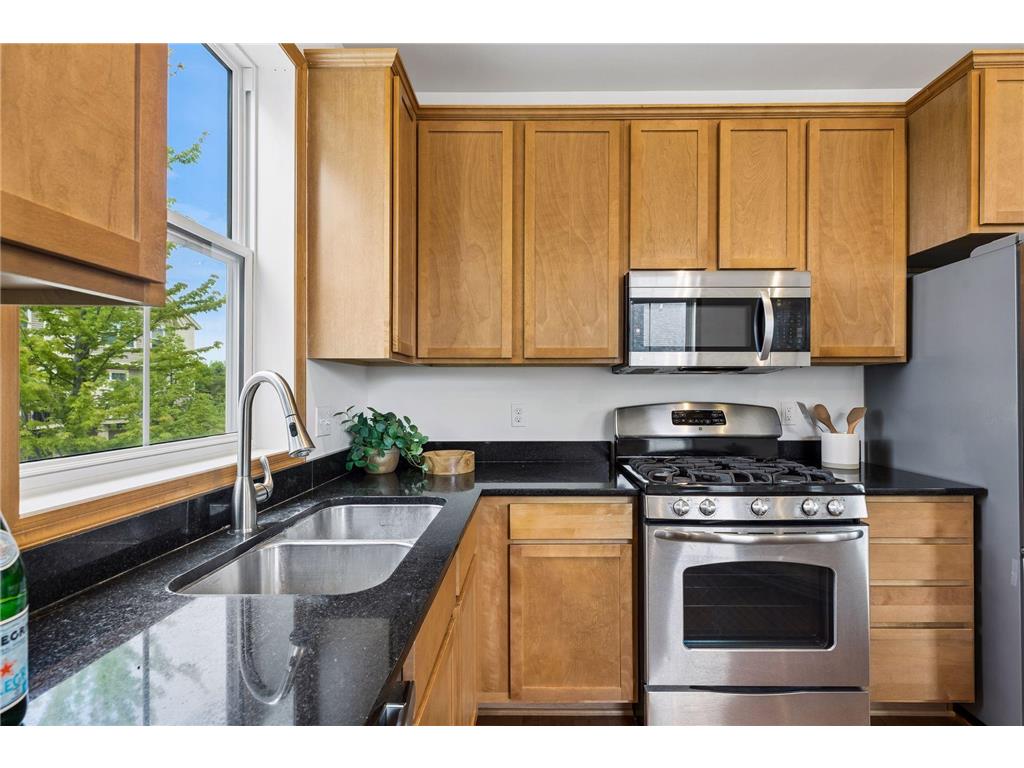 8413 Forestview Lane N #101 Maple Grove MN 55369 7085307 image13