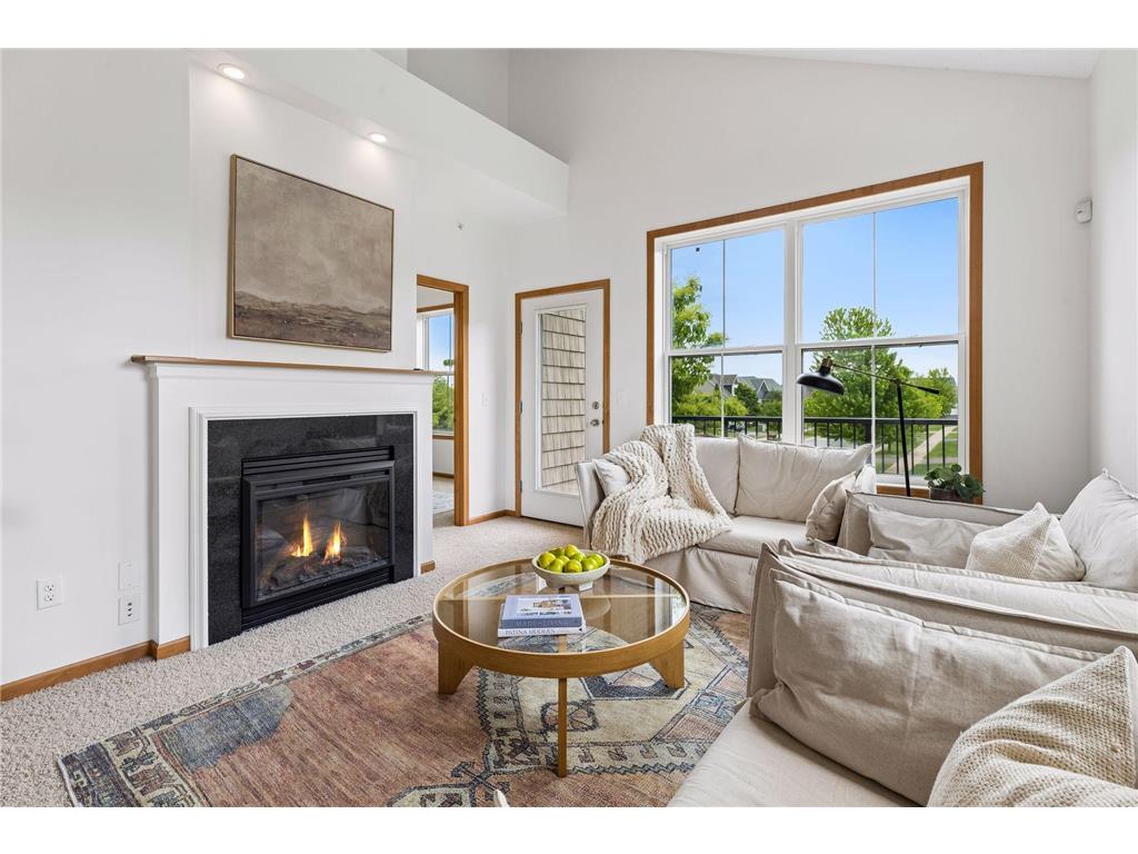 8413 Forestview Lane N #101 Maple Grove MN 55369 7085307 image9