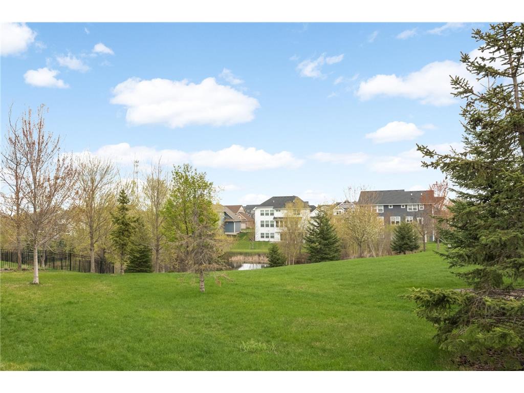 8415 Krey Lake Court Victoria MN 55386 7061213 image45