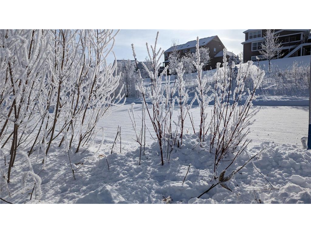 8415 Krey Lake Court Victoria MN 55386 7061213 image49