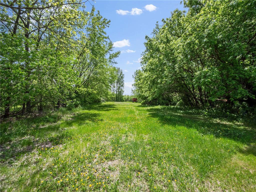 8418 State Highway 29 S Alexandria MN 56308 6718529 image8