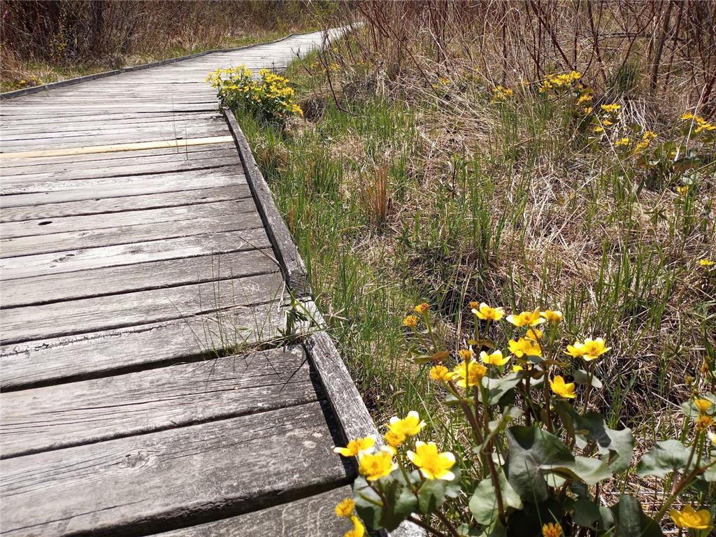 8421 156th Lane NW Ramsey MN 55303 7004858 image30