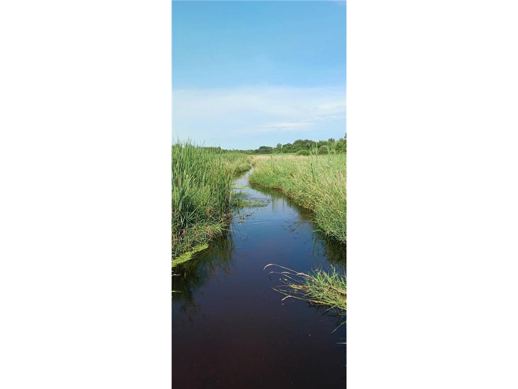 8421 156th Lane NW Ramsey MN 55303 7041626 image30