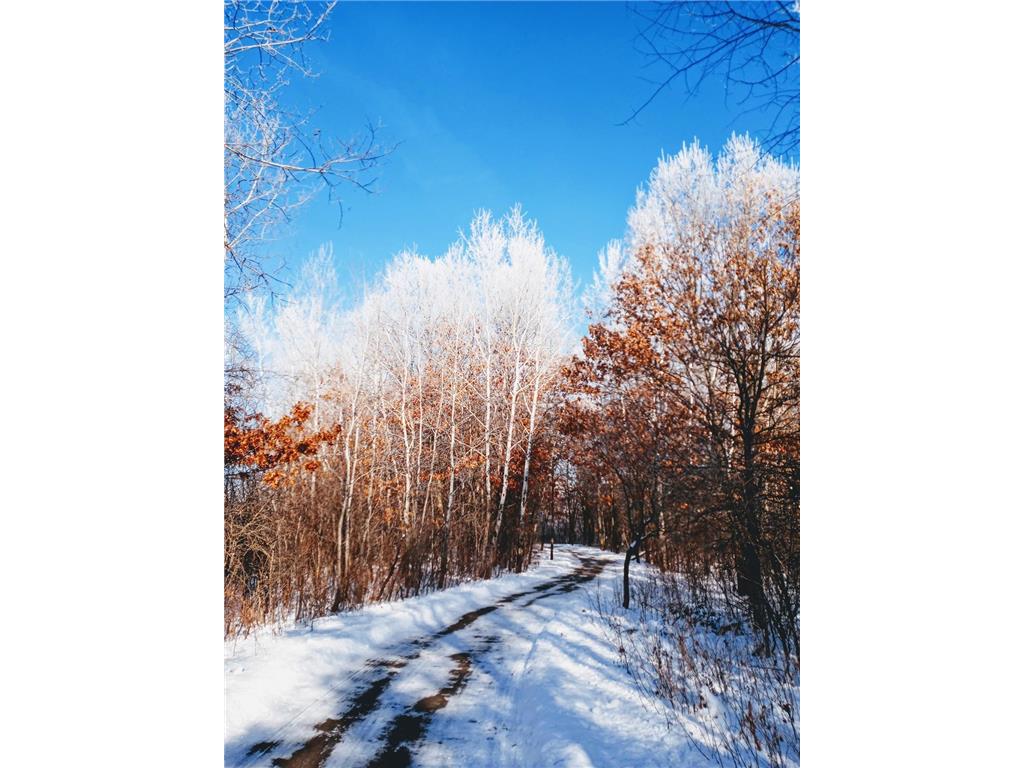 8421 156th Lane NW Ramsey MN 55303 7041626 image32