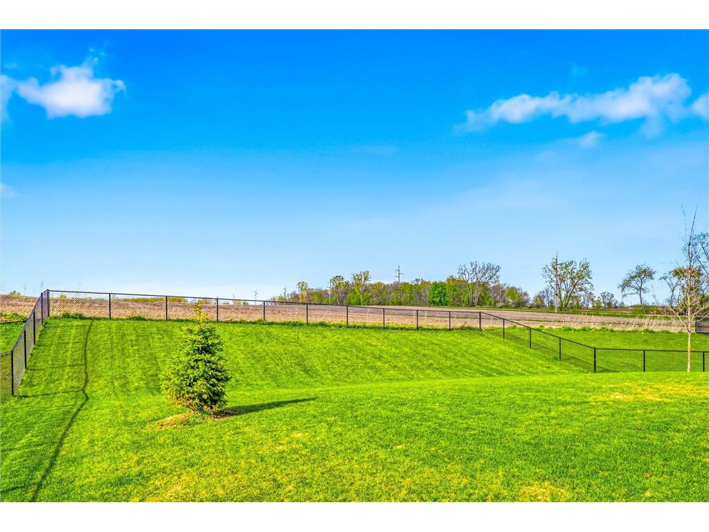 8422 60th Street S Cottage Grove MN 55016 7041575 image56