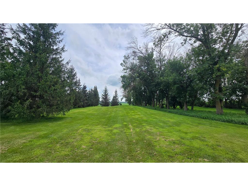 84237 State Highway 251 Hollandale MN 56045 6768144 image11