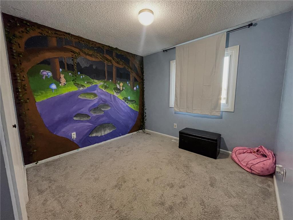 8431 Adair Avenue N Brooklyn Park MN 55443 7051991 image8