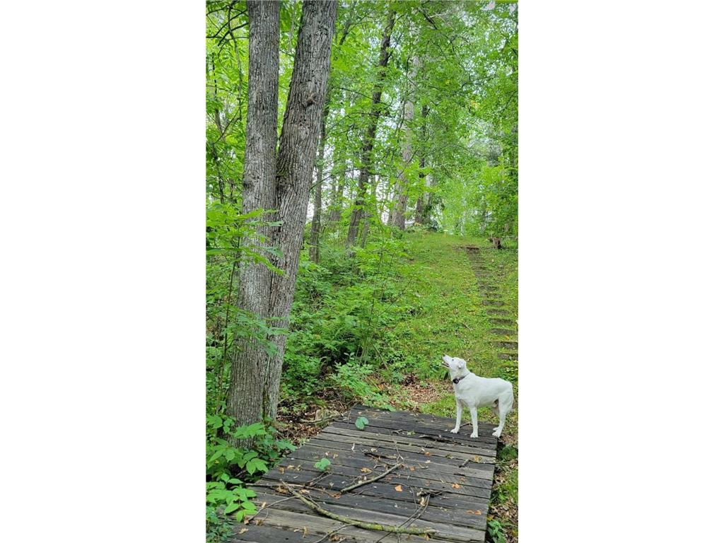 84335 Jack Pine Lane Windemere Twp MN 55783 - Willow River 6818544 image56