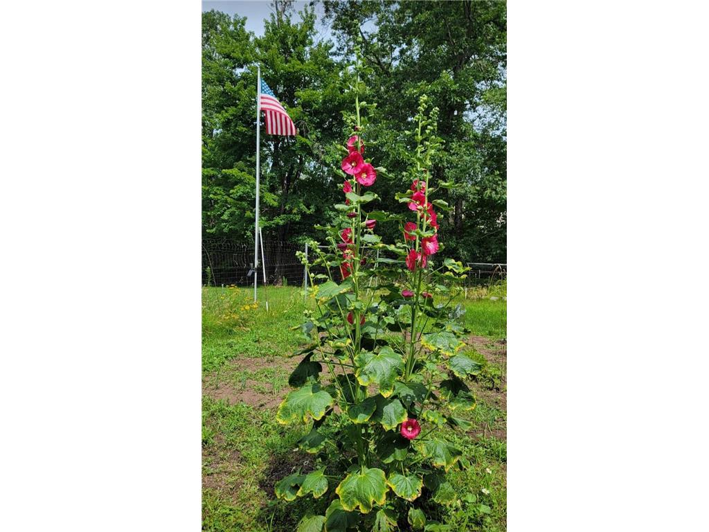 84335 Jack Pine Lane Windemere Twp MN 55783 - Willow River 6818544 image59