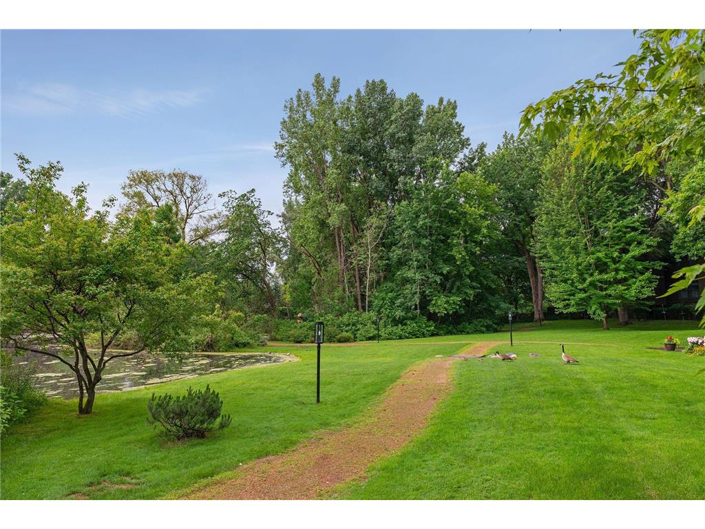 8441 Irwin Road #202 Bloomington MN 55437 6793572 image38