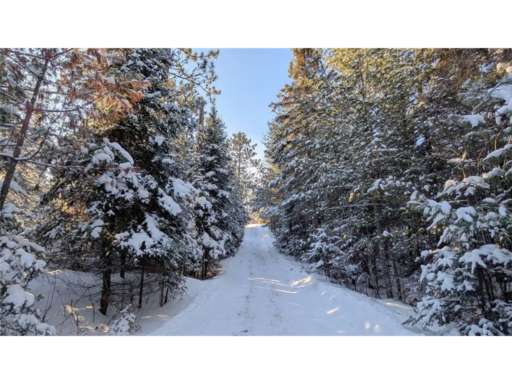 8442 Hwy. 24 Cook MN 55723 - Vermilion 7010020 image34