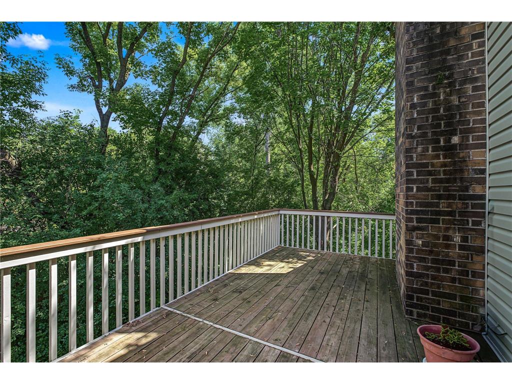 8445 Morgan Lane Eden Prairie MN 55347 7109385 image32