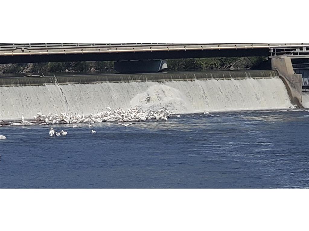 845 US 212 W Granite Falls MN 56241 6682091 image70