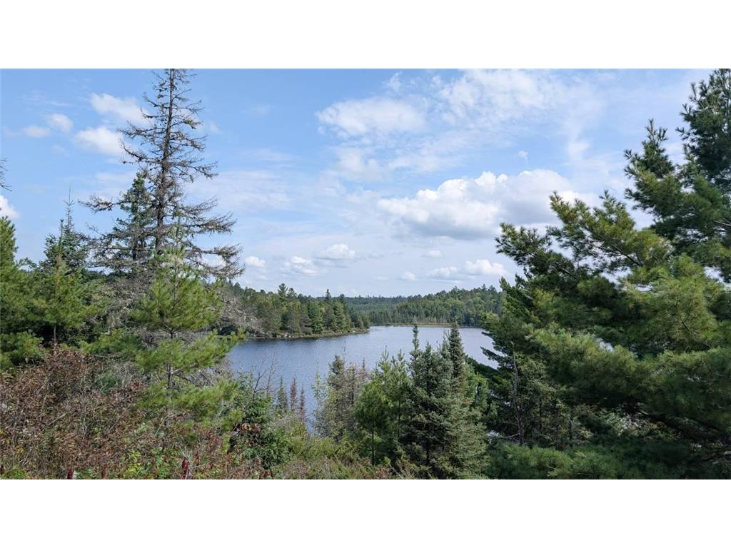 8450 Vermilion Drive Beatty Twp MN 55723 - Vermilion 6798436 image43