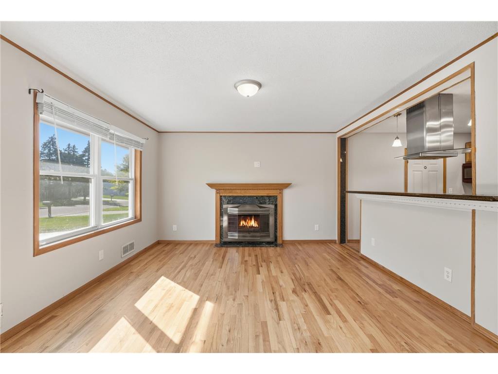 8458 Ivywood Avenue S Cottage Grove MN 55016 6799178 image5