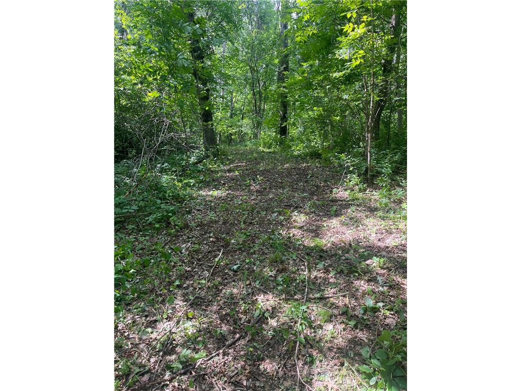 TBD County Road 144 Brainerd MN 56401 6404170 image1