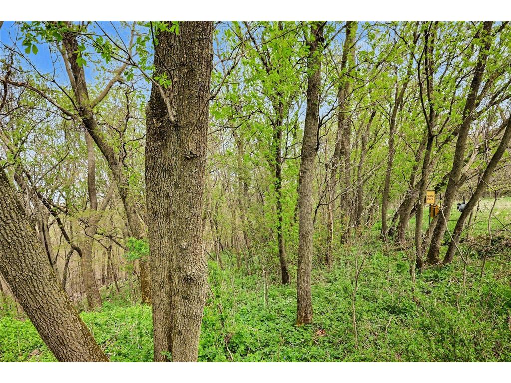 8465 170th Street E Nerstrand MN 55053 7060876 image43