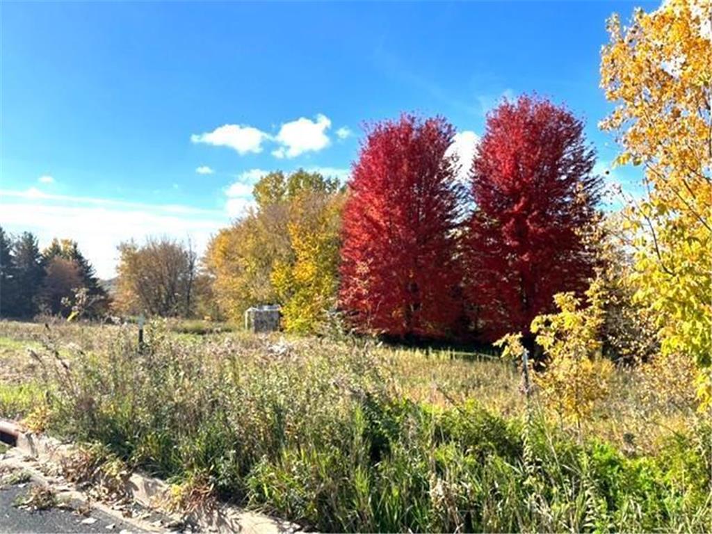 847 Meander Court Medina MN 55340 6802837 image13