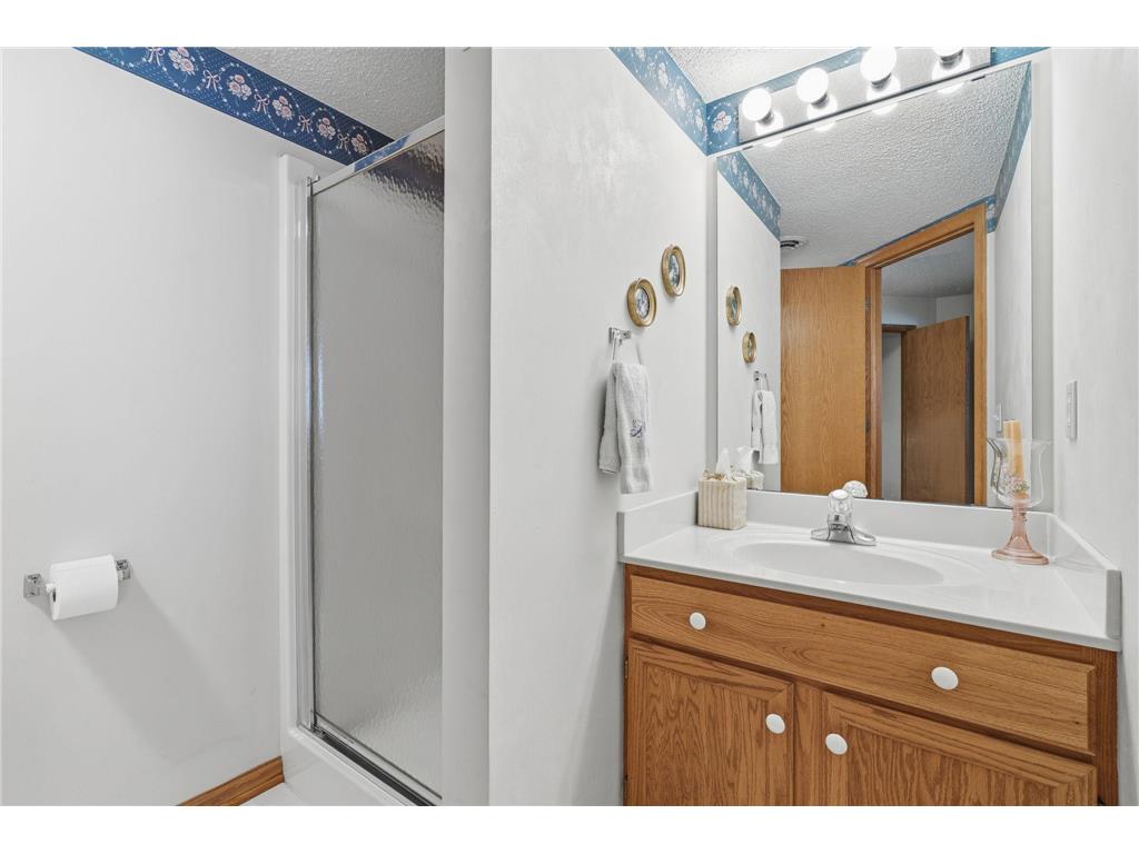 8471 Bryce Court Inver Grove Heights MN 55076 7088794 image34