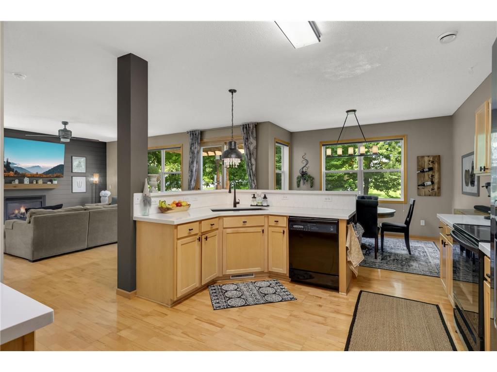 848 Newberry Lane Chaska MN 55318 7089091 image10