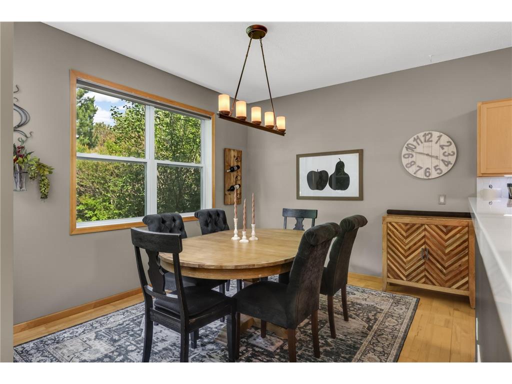 848 Newberry Lane Chaska MN 55318 7089091 image9