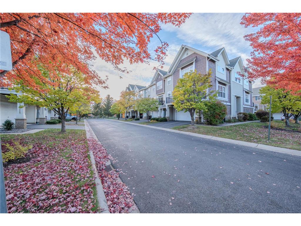 8483 Emery Parkway N Champlin MN 55316 6809748 image33