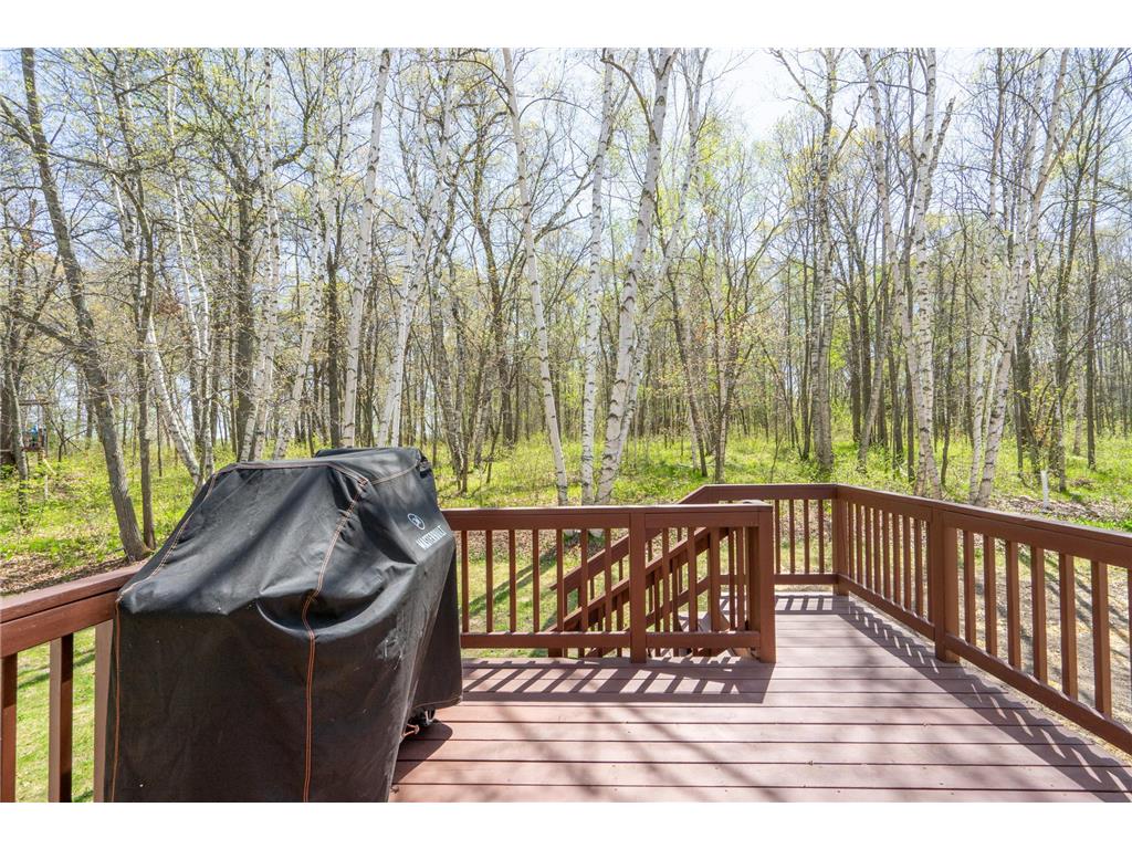 8485 County Road 123 Brainerd MN 56401 7073345 image61