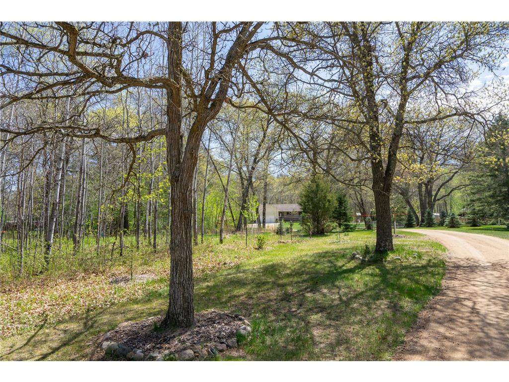 8485 County Road 123 Brainerd MN 56401 7073345 image62