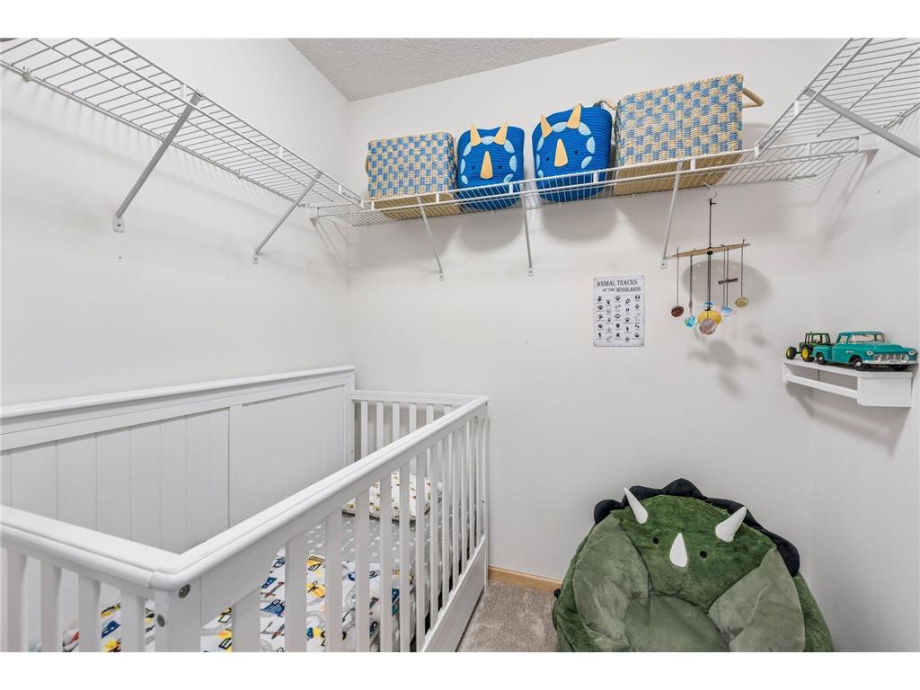 849 Braunworth Court Chaska MN 55318 7071532 image20