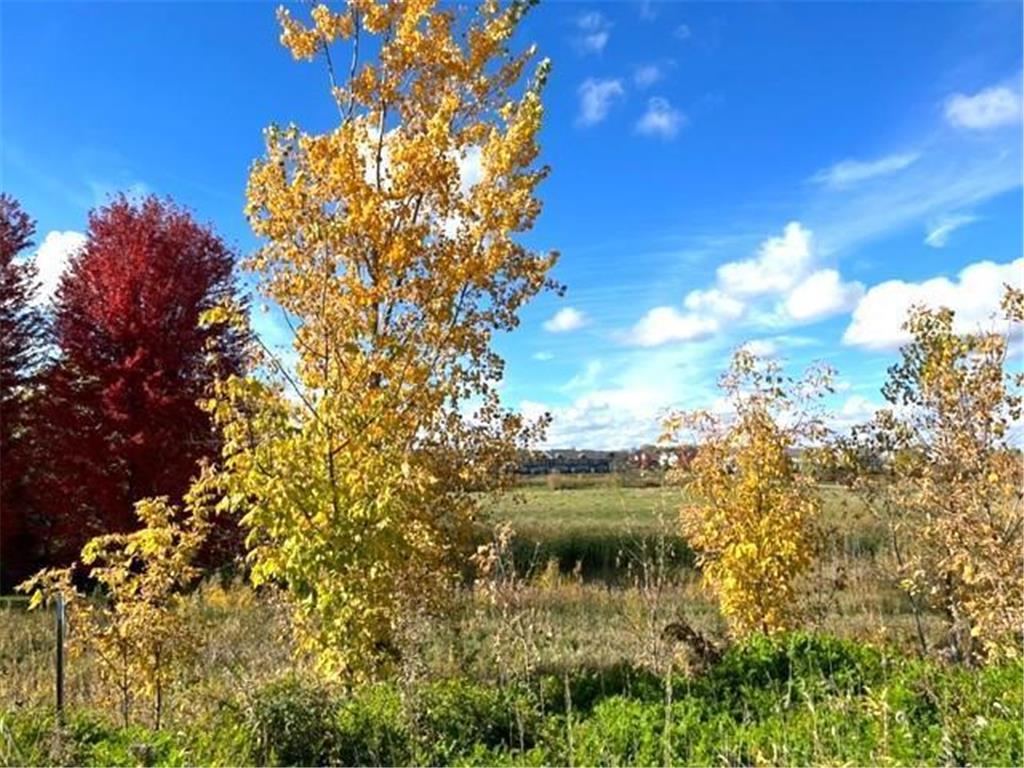 849 Meander Court Medina MN 55340 6802833 image15