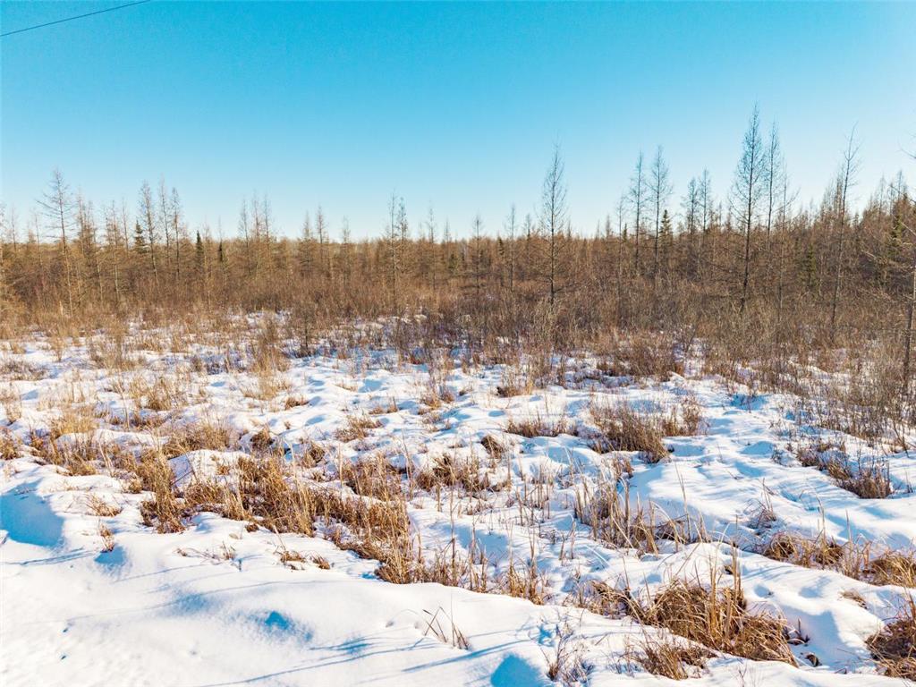 84XX Peary junction Rd Kelsey Twp MN 55724 7020630 image18