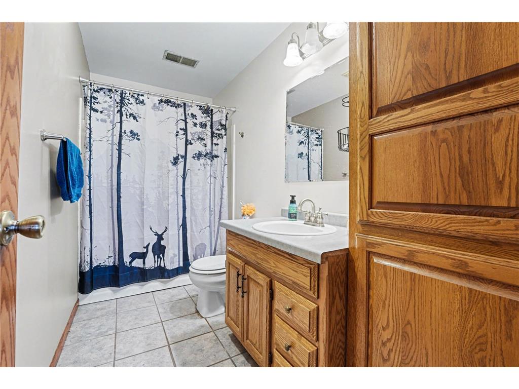 850 25 1/2 Avenue Lakeland Twp WI 54829 - Big Dummy Lake 7035979 image36